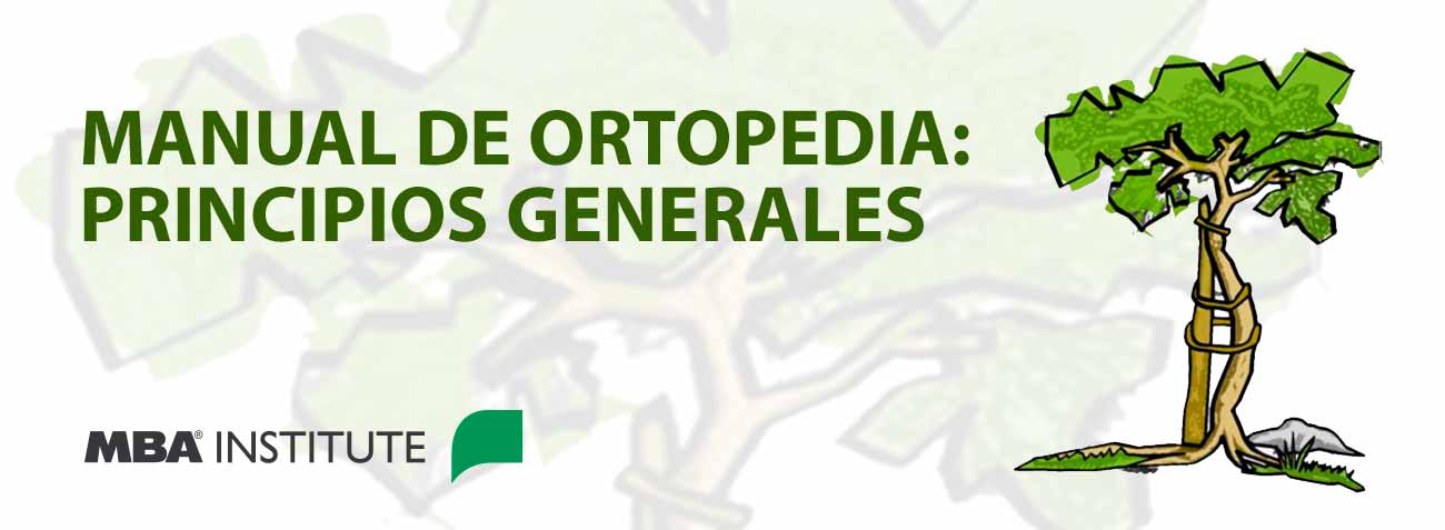 Qué es la rodilla y cuándo necesito una prótesis? - MBA blog